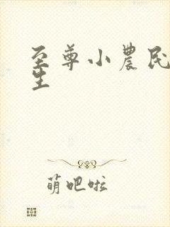 至尊小农民王木生