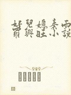 好儿媳秦雨罗明罗兴旺小说