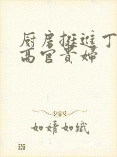 厨房挺进丁字裤高官贵妇