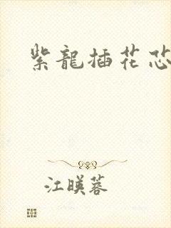 紫龙插花芯方正