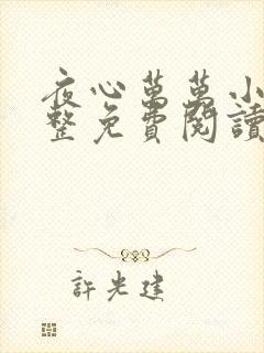 夜心万万小说完整免费阅读全文