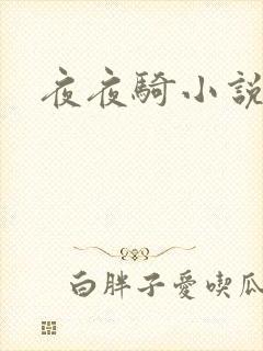 夜夜骑小说