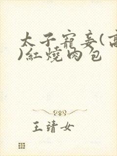 太子宠妾(高肉)红烧肉包