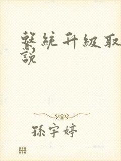 系统升级取液小说