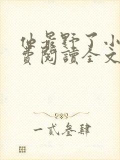 他最野了小说免费阅读全文