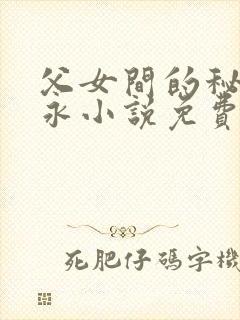 父女间的秘密赵永小说免费阅读