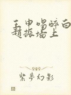 王申喝醉白洁被赵振墙上