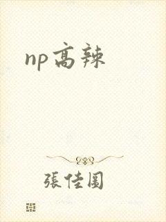 np高辣
