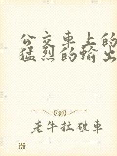 公交车上的诗请猛烈的输出阅读