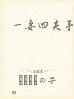 一妻四夫手记