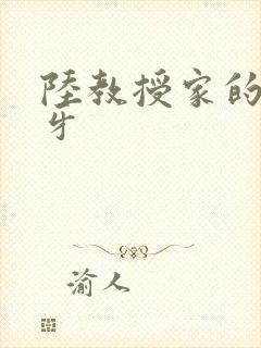 陆教授家的小月牙