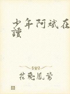 少年阿斌在线阅读