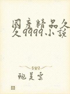 国产精品久久久久9999小说