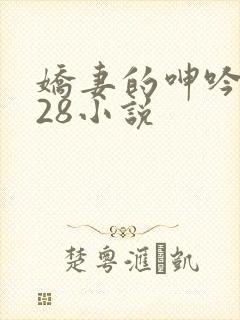 娇妻的呻吟1—28小说