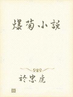 爆菊小说