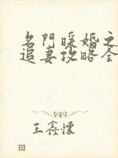 名门暖婚之权爷追妻攻略全文免费阅读