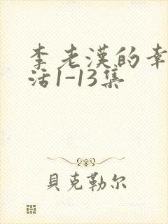 李老汉的幸福生活1-13集