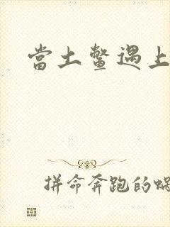 当土鳖遇上海龟