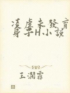 凌虐未发育的小身子H小说
