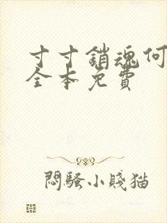 寸寸销魂何生祥全本免费