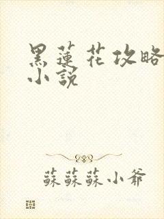 黑莲花攻略手册小说