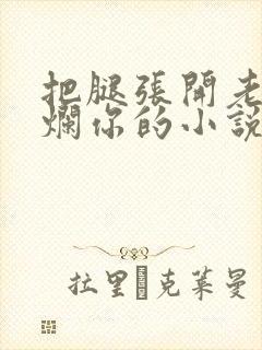 把腿张开老子臊烂你的小说