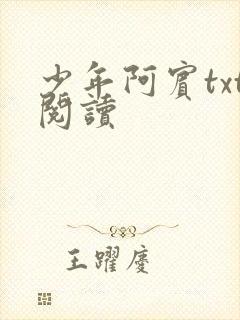 少年阿宾txt阅读