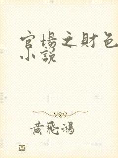 官场之财色诱人小说