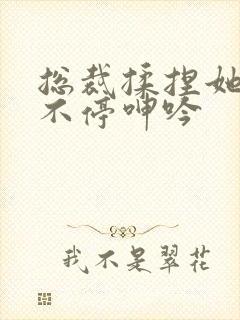 总裁揉捏她两乳不停呻吟