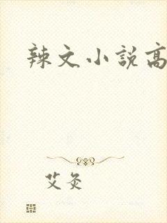 辣文小说高h