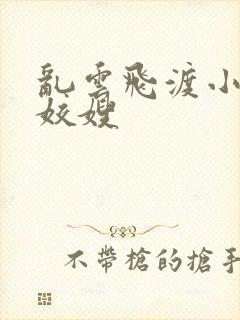 乱云飞渡小说之姣嫂