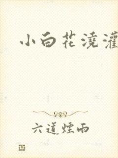 小白花浇灌日常