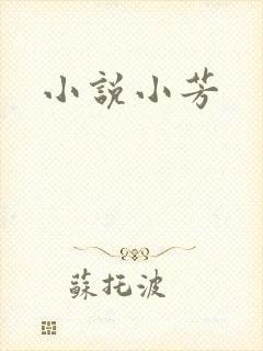小说小芳