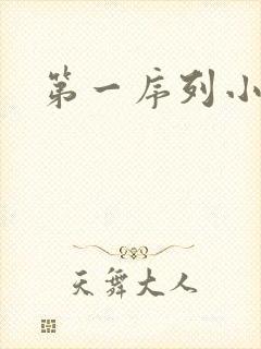 第一序列小说