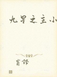 九星之主小说