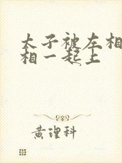 太子被左相和右相一起上