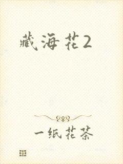 藏海花2