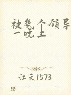 被几个领导玩弄一晚上