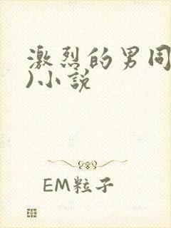 激烈的男同(h)小说