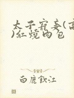 太子宠妾(高肉)红烧肉包