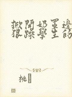 掀开奶罩边躁狠狠躁学生的小文字