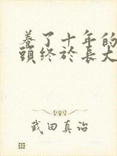 养了十年的小丫头终于长大了