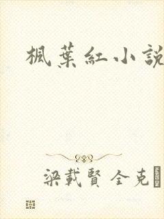 枫叶红小说