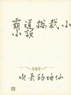 霸道总裁小娇妻小说