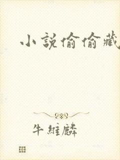 小说偷偷藏不住