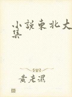 小说东北大炕全集