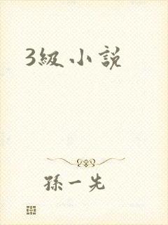 3级小说