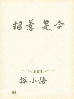 招惹 是今