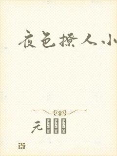 夜色撩人小说