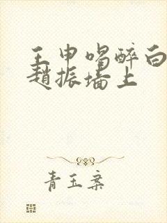 王申喝醉白洁被赵振墙上